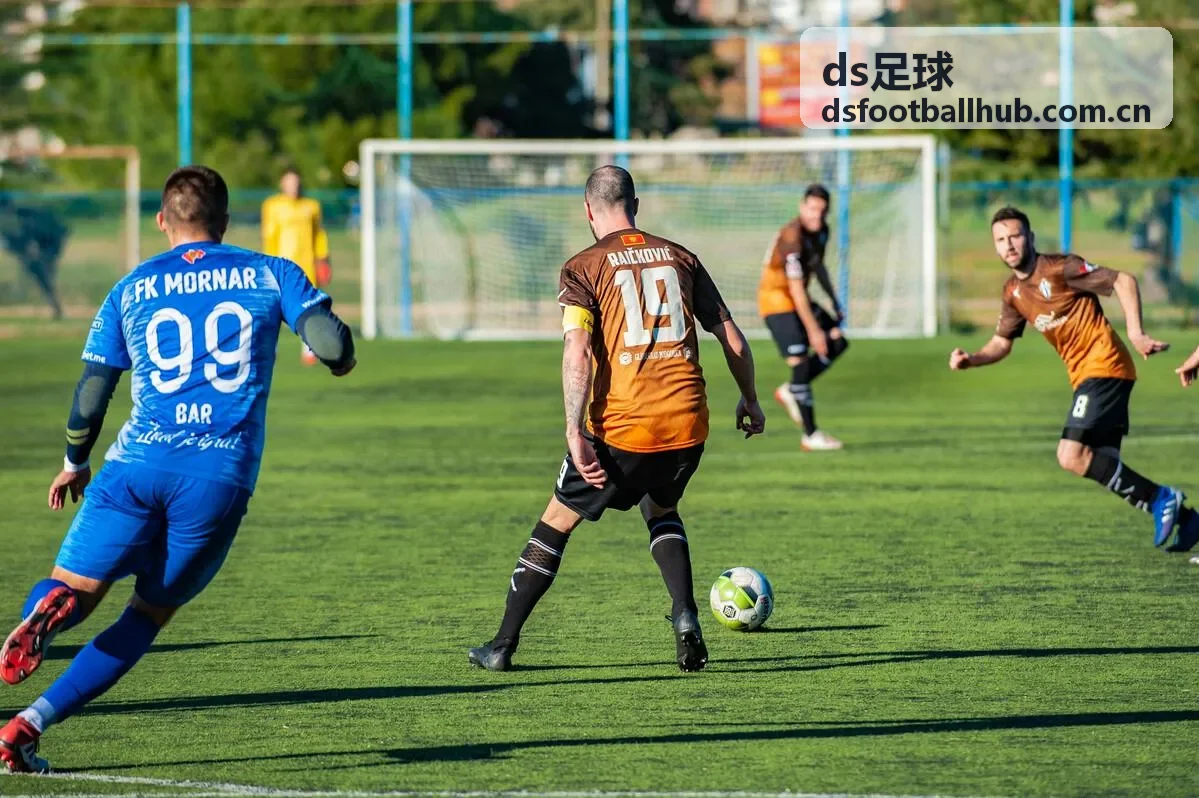 ds足球球员档案